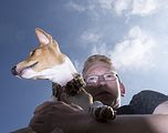 Basenji KSM Muenster 2014 (1126)